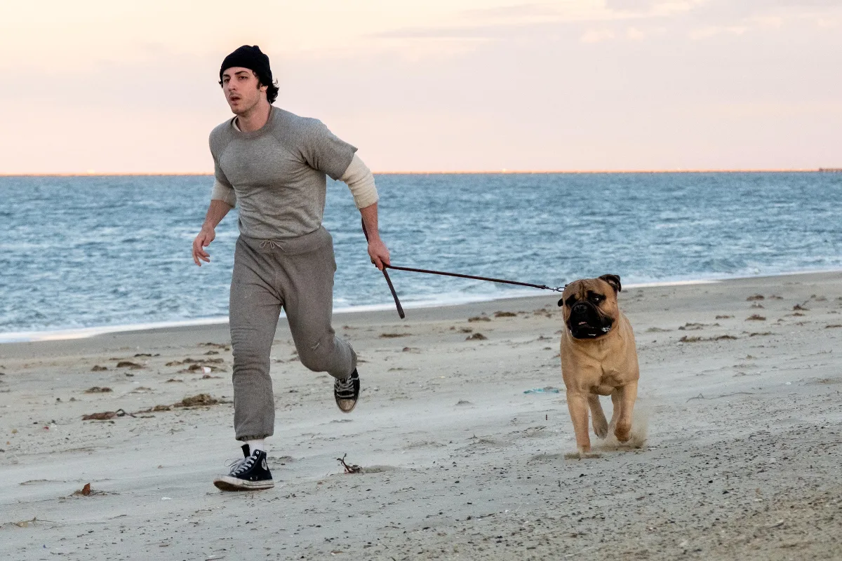 Ben, Rocky